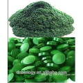 High Quality Chlorella Powder Chlorella Powder, Organic, Extract, Concentrate, Capsules, Cracked Cell